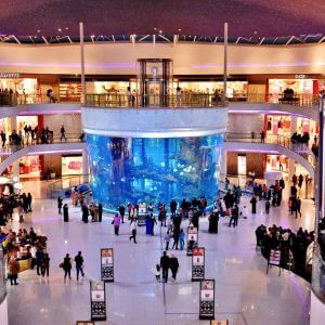 Buy Saudi Arabia KSA Email Consumer 125 000 Consumers Email Database who have visited aquariums in Malls in Riyadh, Buy Saudi Arabia KSA Email Consumer 125 000 Consumers Email Database who have visited aquariums in Malls in Riyadh